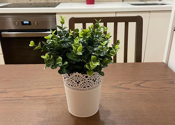 Charming 2 Bedroom Next To Jardim Da Estrela, *