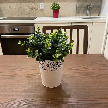 Charming 2 Bedroom Next To Jardim Da Estrela, *